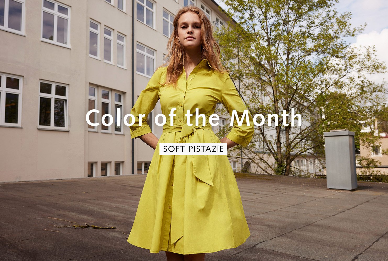 Color of the Month