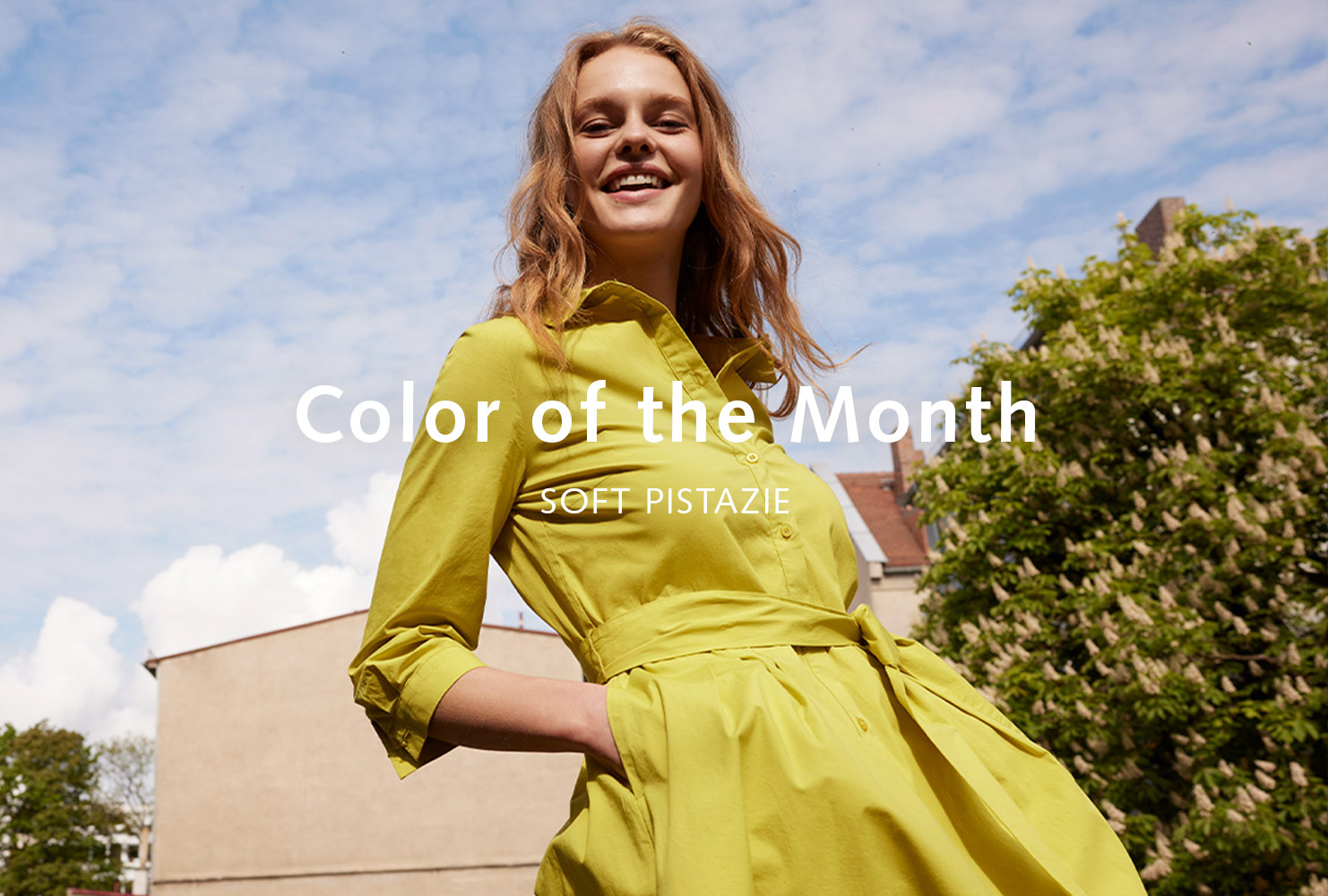 Color of the Month